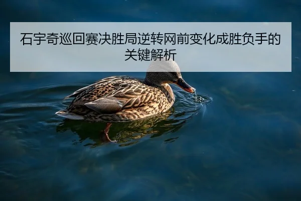 石宇奇巡回赛决胜局逆转网前变化成胜负手的关键解析