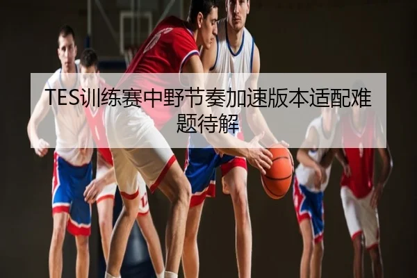 TES训练赛中野节奏加速版本适配难题待解